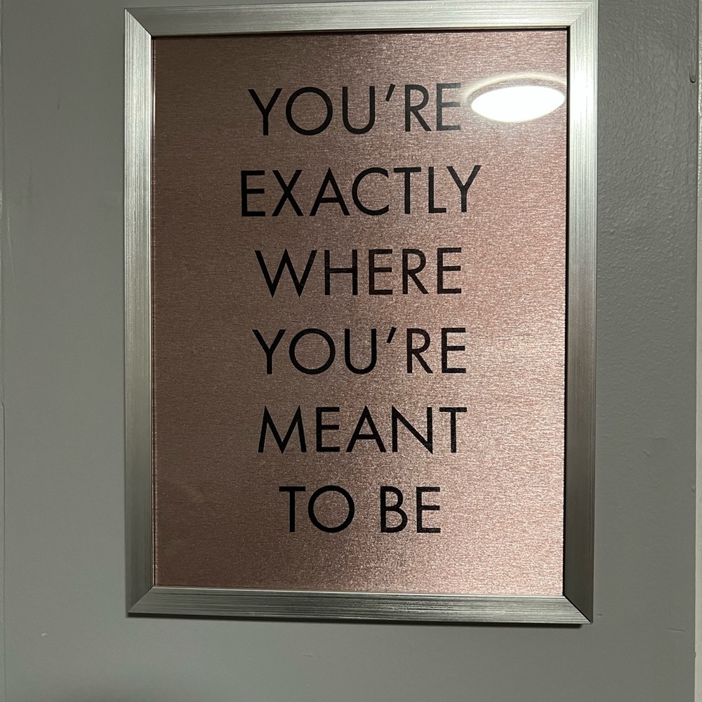 Hobby Lobby Rose Gold and Black Motivational Wall Art